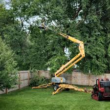 Best Tree Risk Assessment  in Waldo, FL